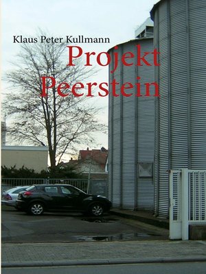 cover image of Projekt Peerstein